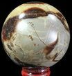 Polished Septarian Sphere - Madagascar #67868-1